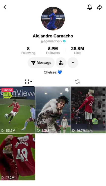 alejandro-garnacho-has-removed-all-chelsea-items-on-his-v0-xt7krps755vg1.webp