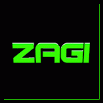 Zagi